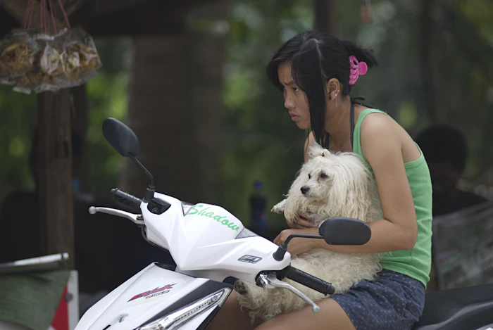 Pet Friendly Stays