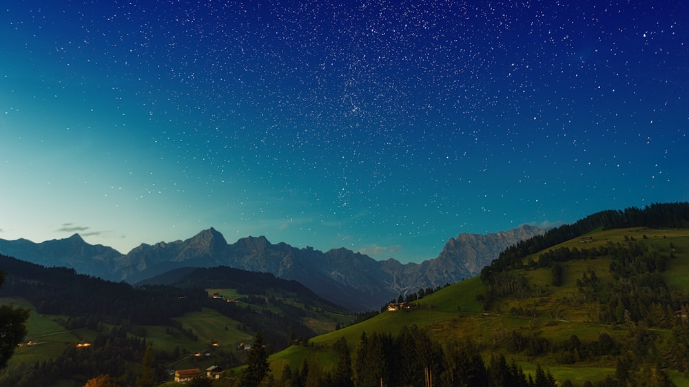 green trees on mountain under blue sky during daytime