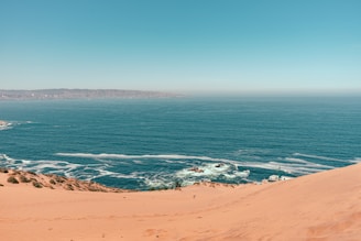 brown sand near body of water during daytime