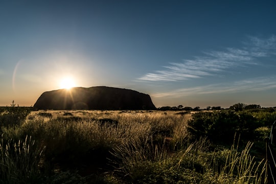 green grass field under blue sky during daytime in Uluru Australia