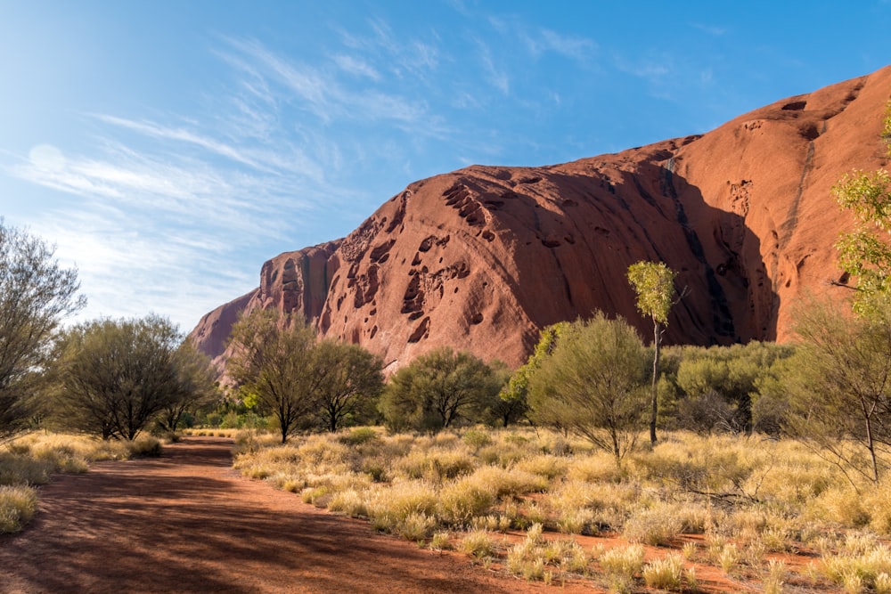 brown rock formation near green grass field during daytime