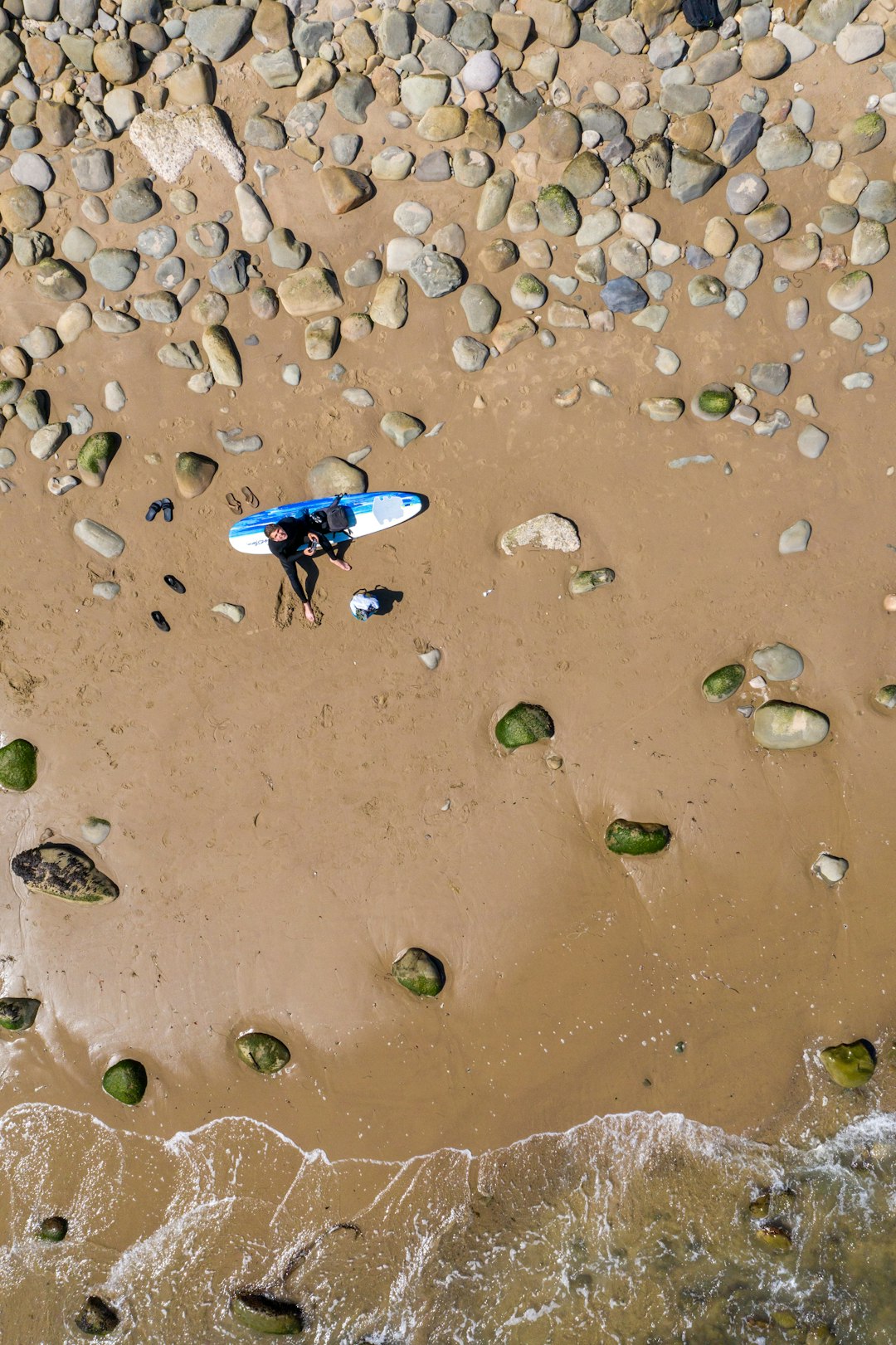 people on beach during daytime