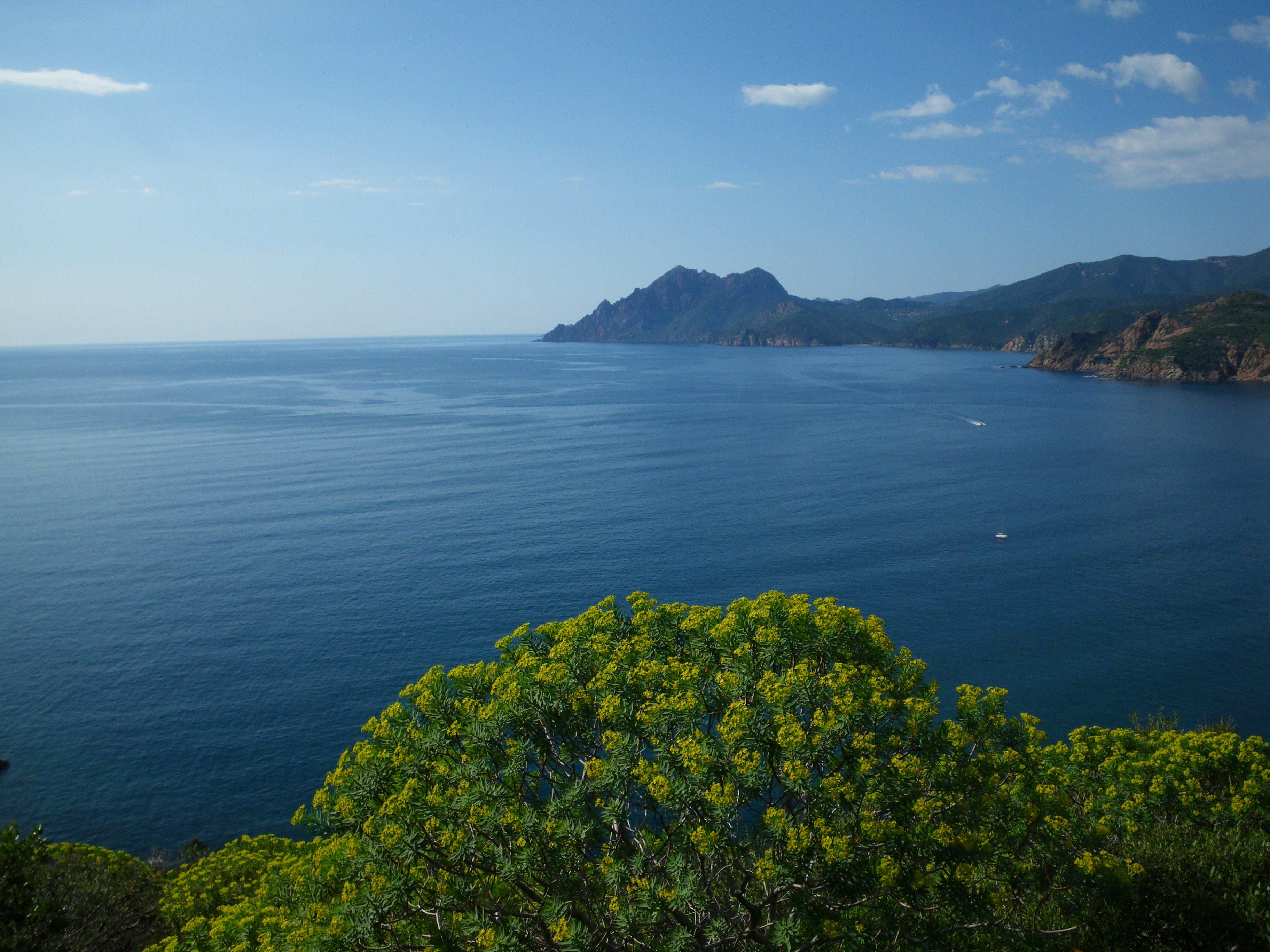 Photo by icimarseille