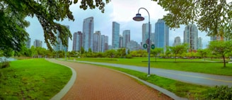 A city park featuring a paved walkway flanked by lush green grass and trees, with a background of modern high-rise buildings. A lamppost with signs for pedestrian and bicycle paths stands prominently. The setting is serene with a bright and clear sky above.
