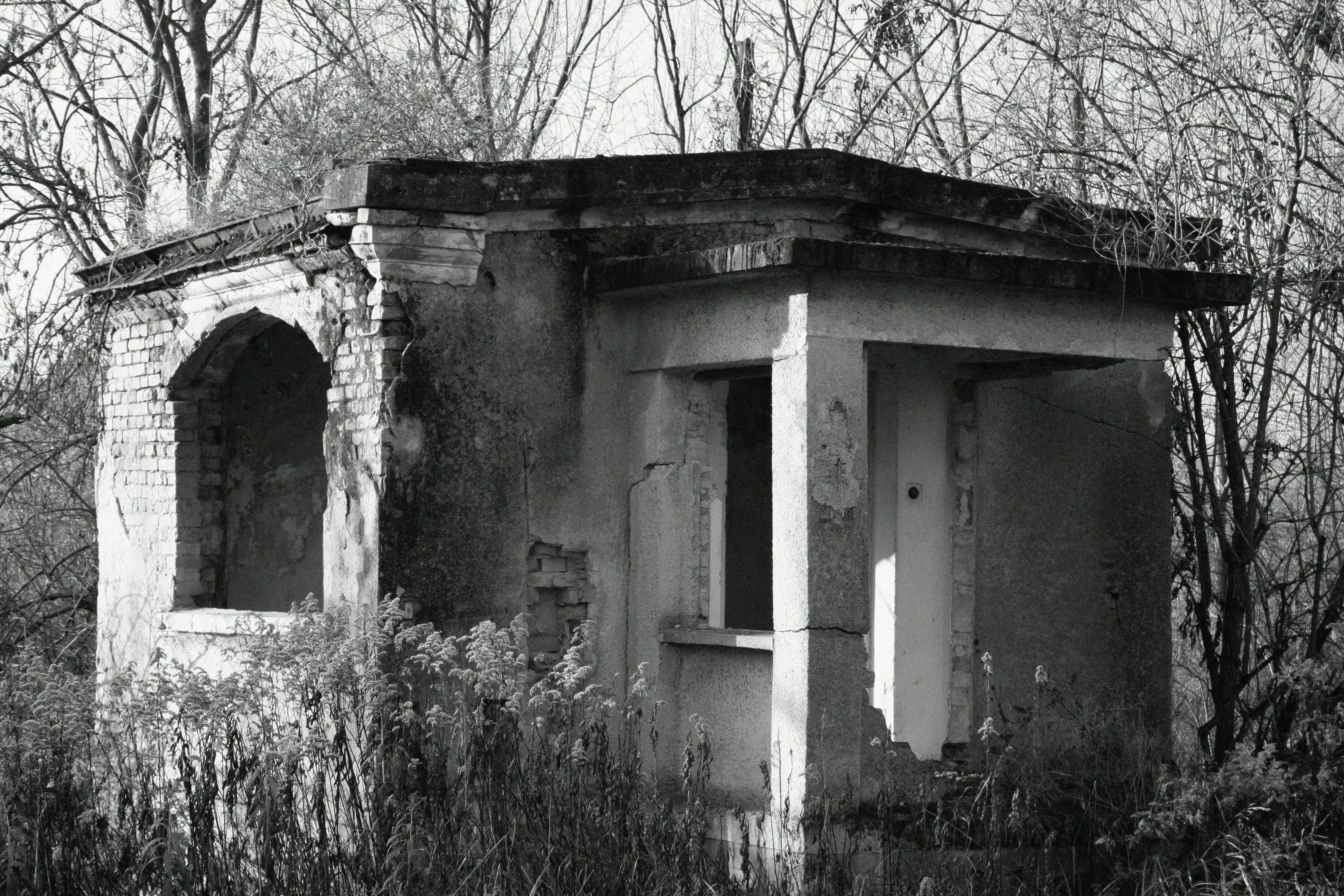 Photo by spiderwitch66