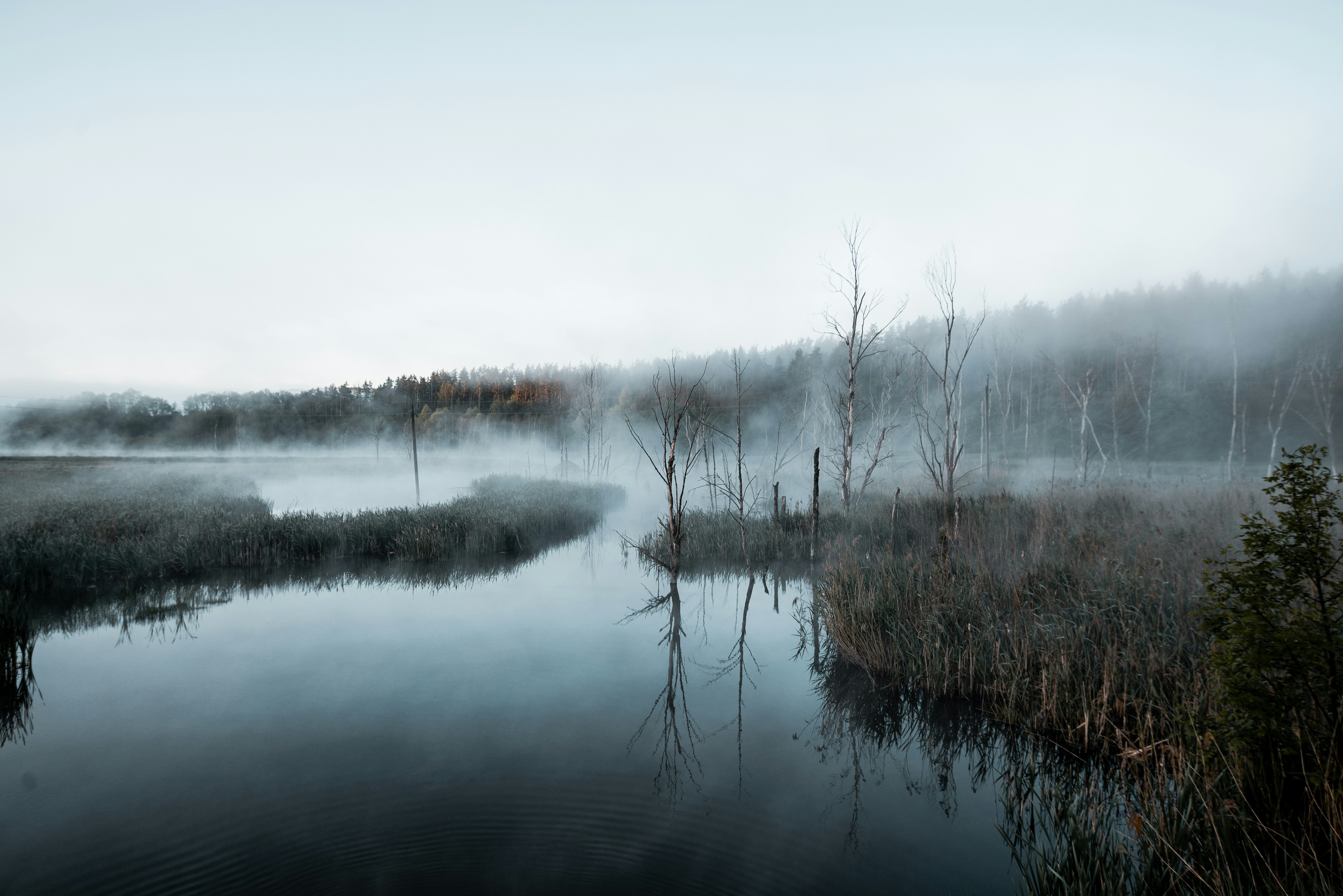 Photo by wladkiselev