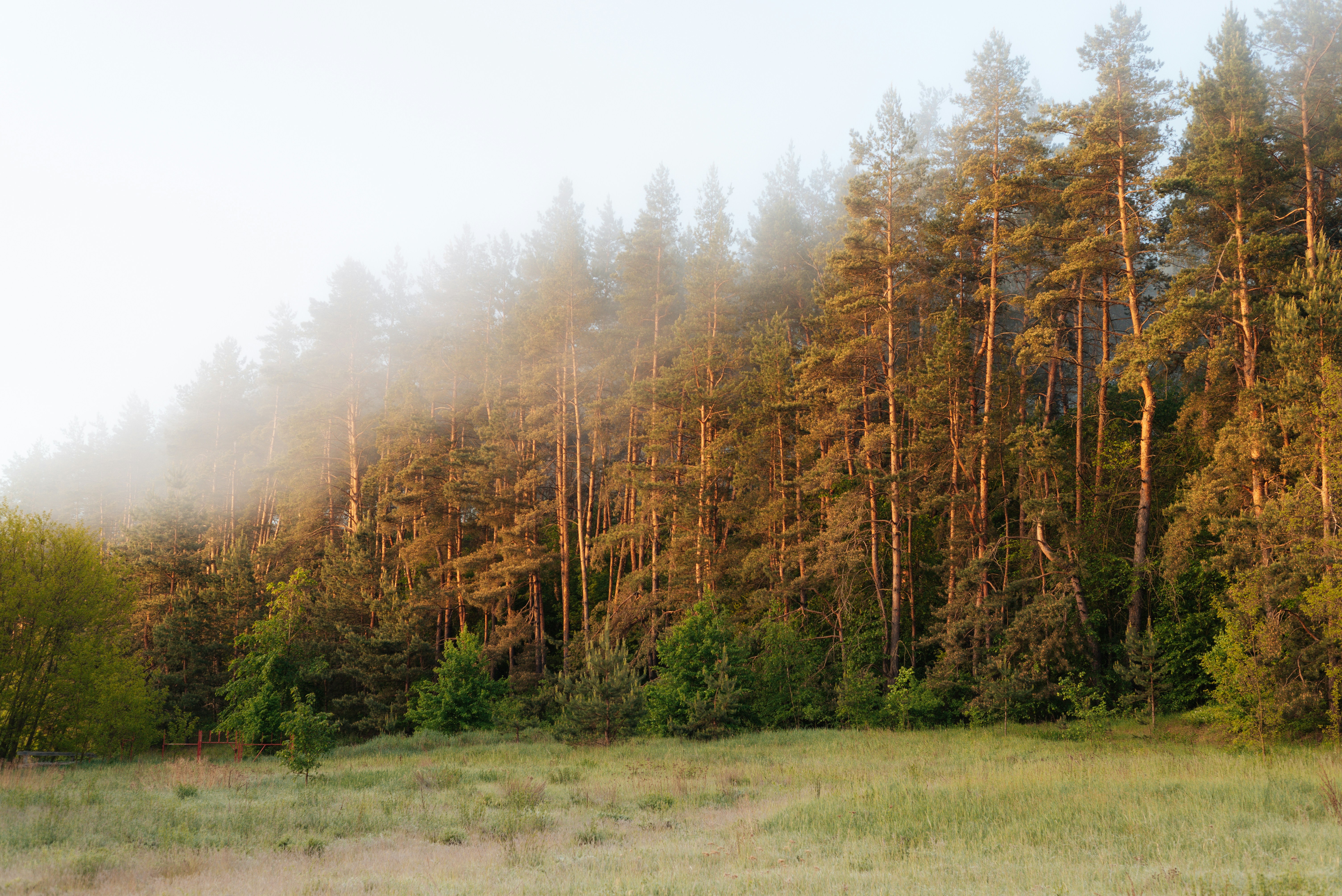 Photo by wladkiselev