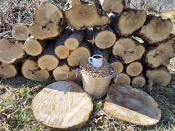 A stack of cut logs lies in the background, with visible tree rings facing outward. In front of this pile, there is a silver metal bucket filled with wood chips, topped with a coffee mug containing a dark liquid. Two large wooden discs are placed on the ground in front. The setting seems to be outdoors with grass and scattered dry leaves around.