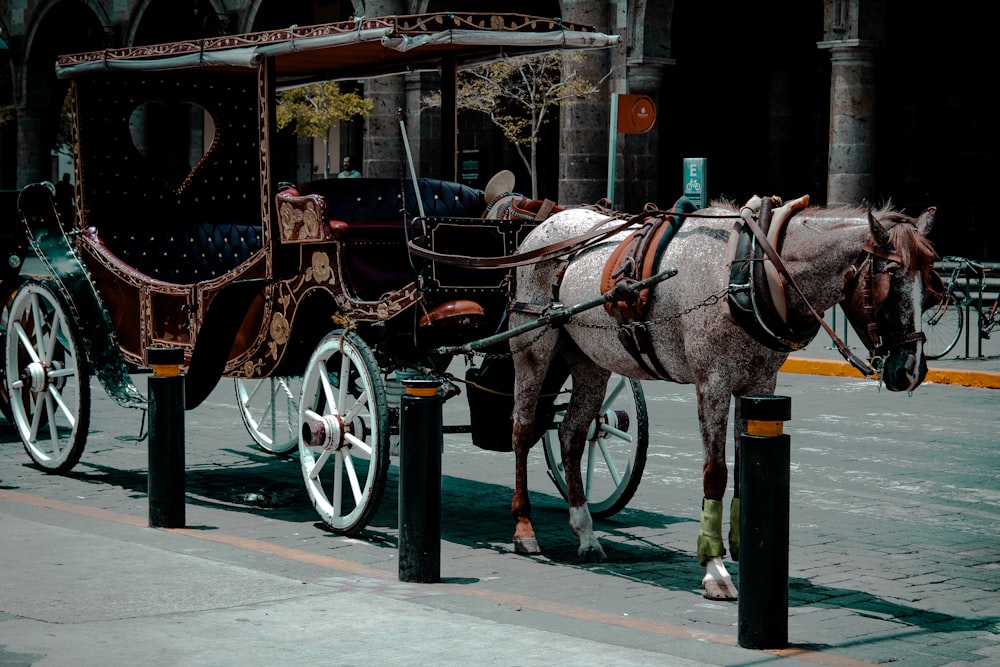 cavalo preto com carruagem de madeira marrom na estrada durante o dia