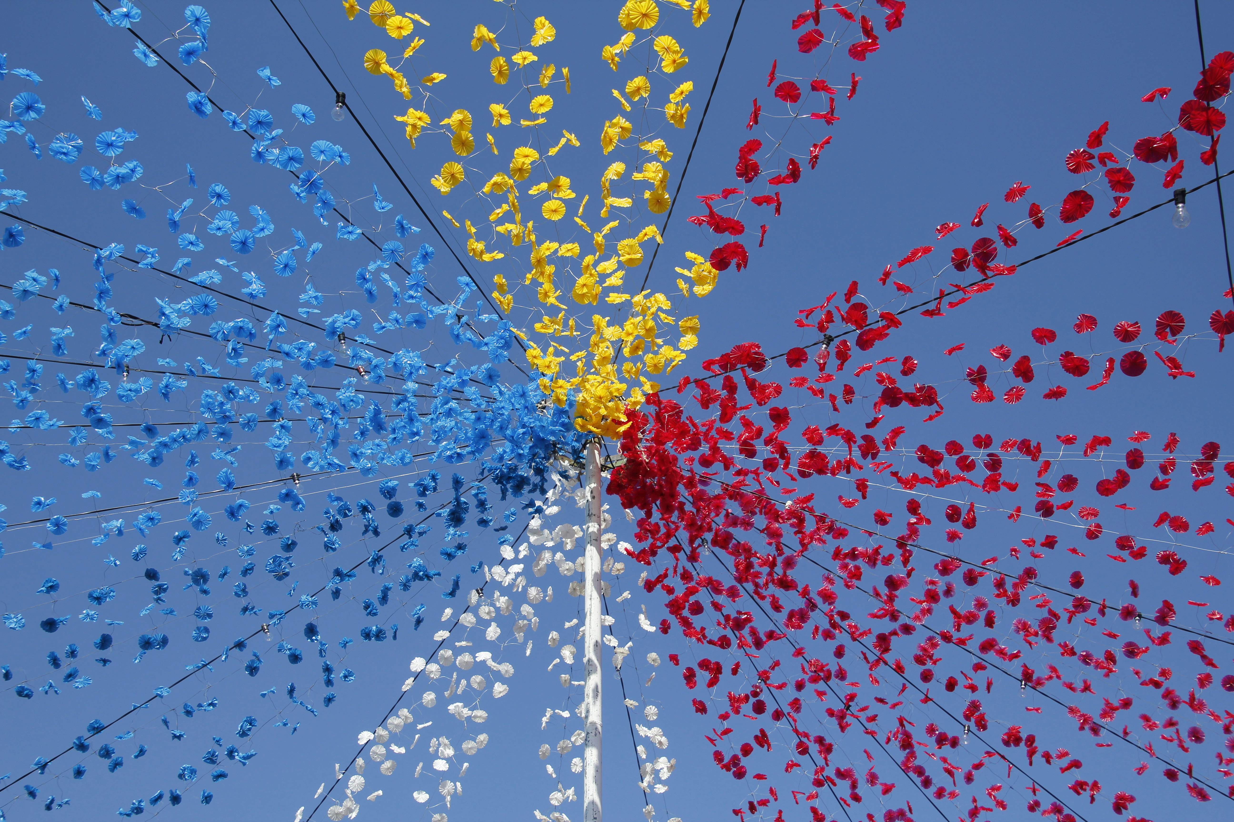 gelber und roter Blumenschirm