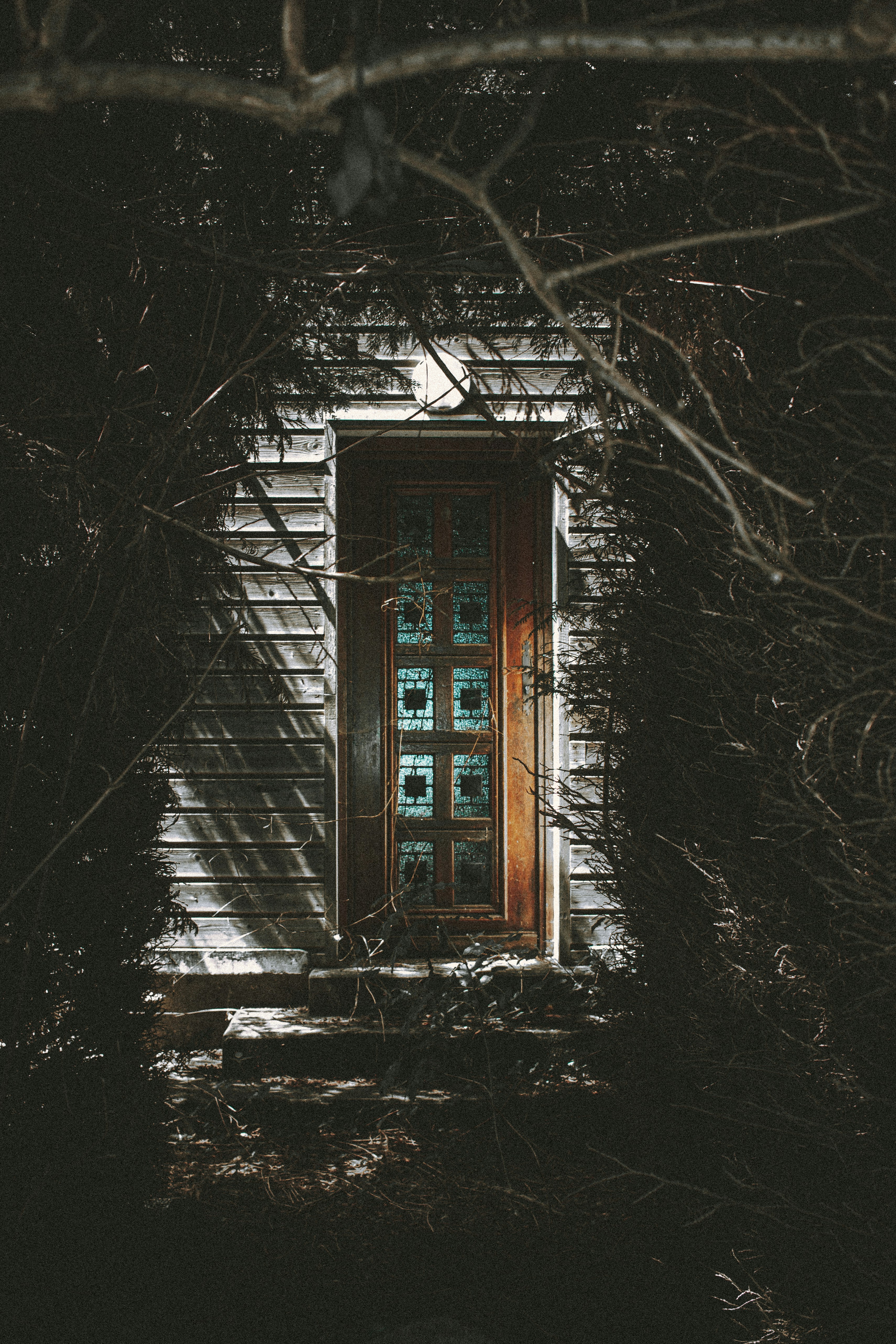Photo by matreding