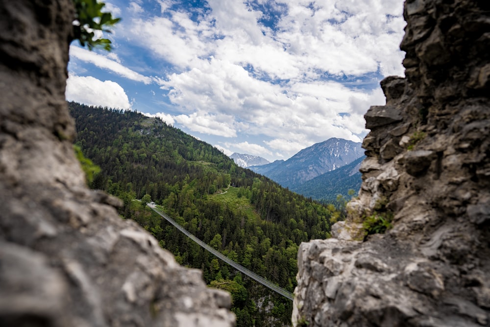 green trees on mountain under blue sky during daytime