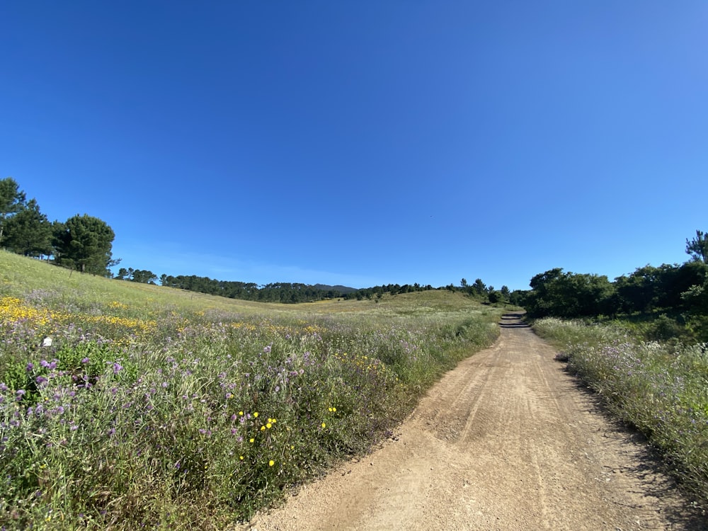 brown dirt road between green grass field under blue sky during daytime