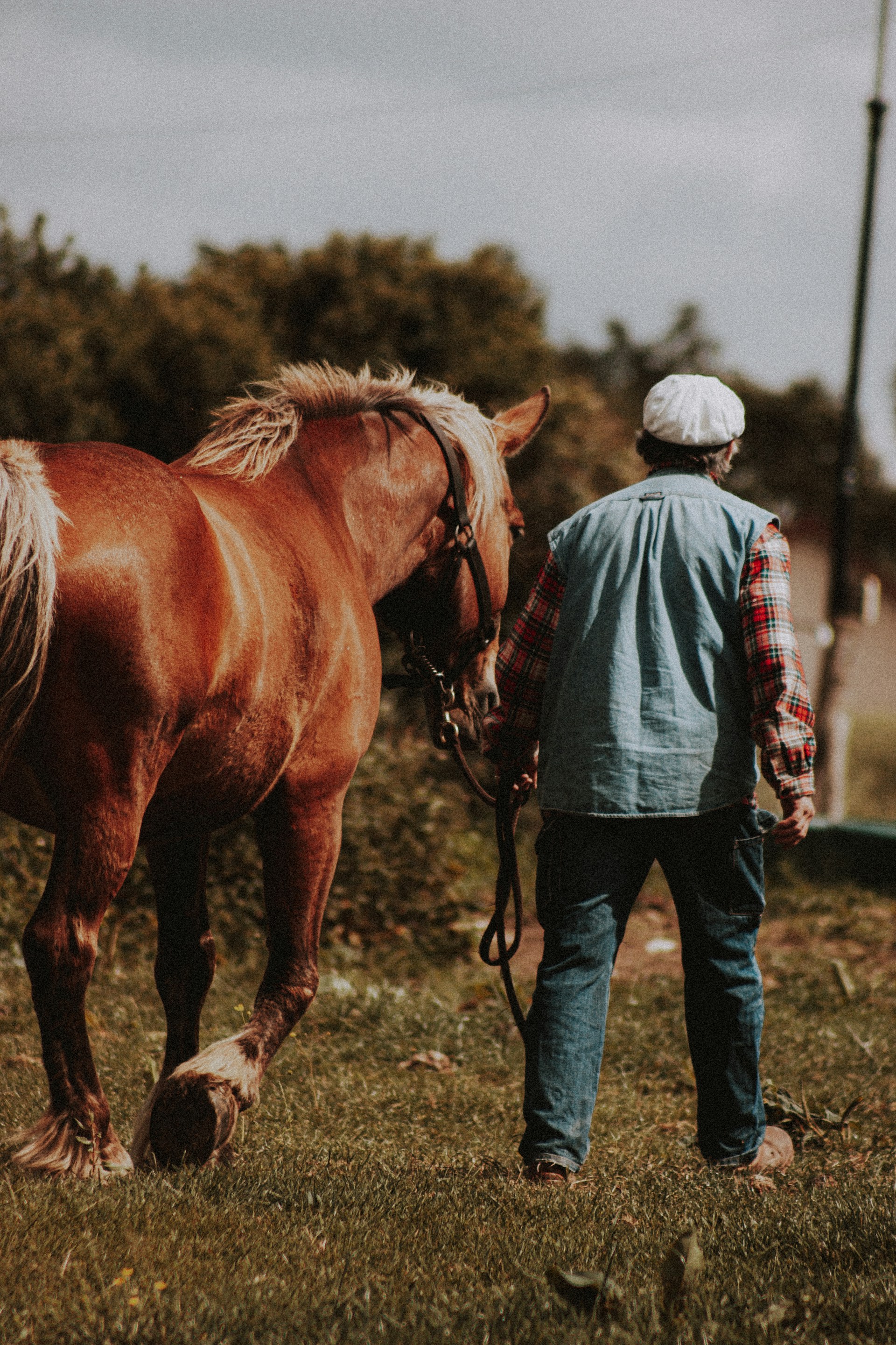 man in blue denim jacket and blue denim jeans standing beside brown horse during daytime
