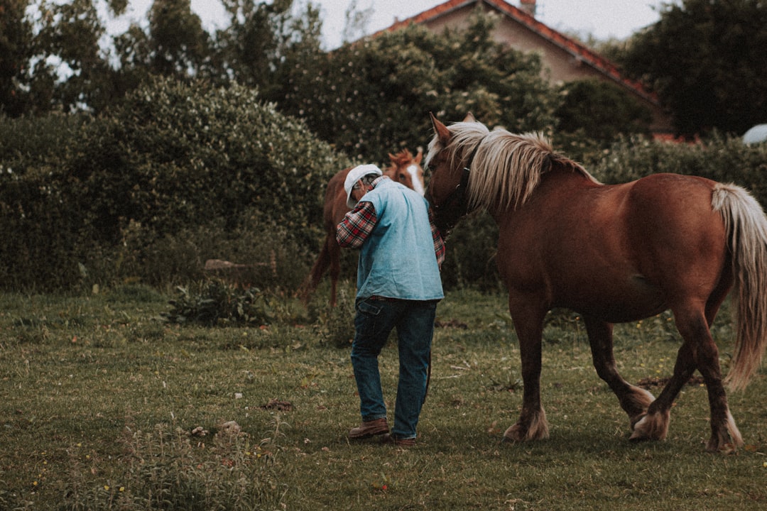 woman in white t-shirt and blue denim jeans standing beside brown horse during daytime