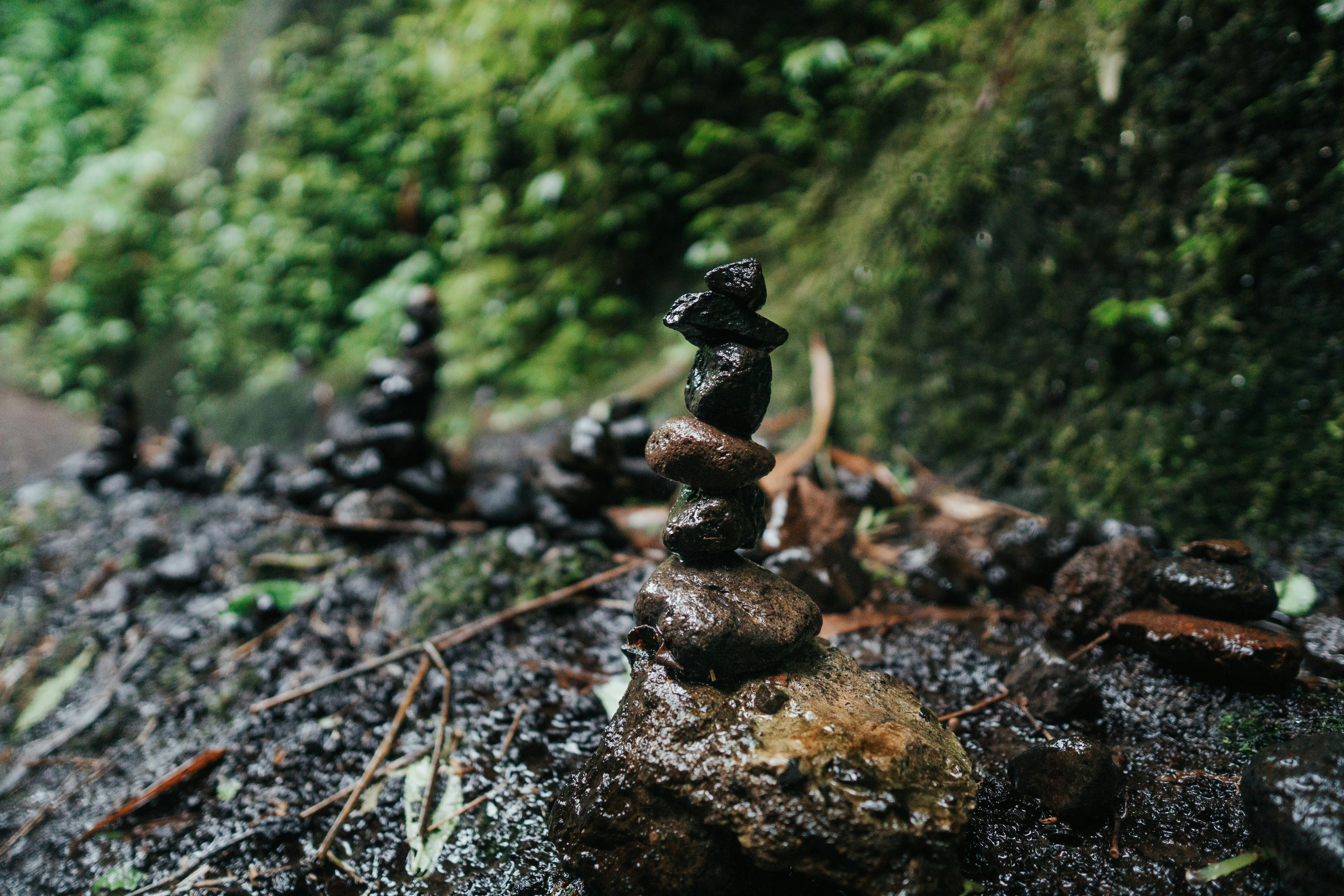 black stones on brown soil
