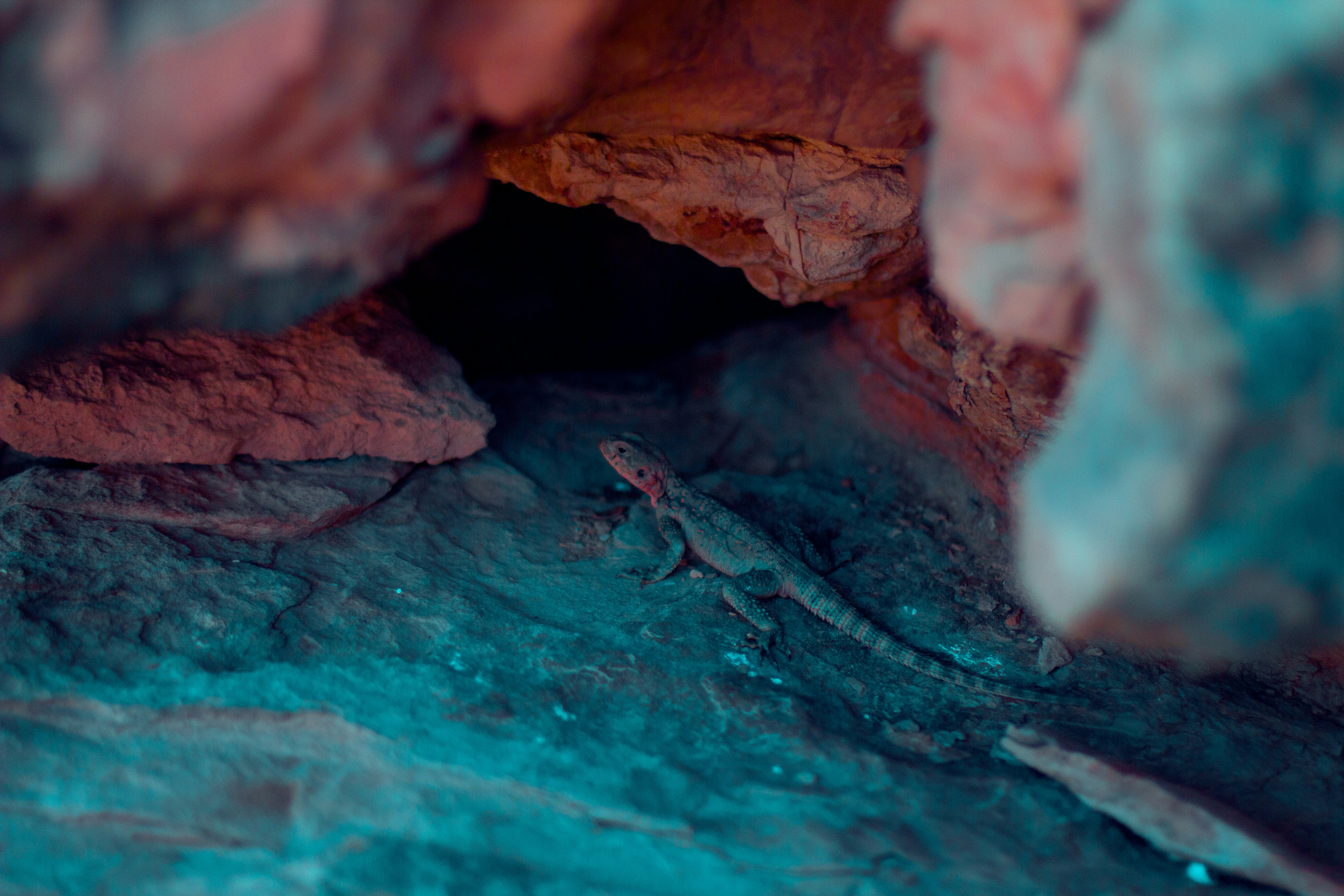 Photo by koryunhills