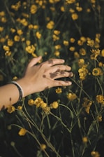 person wearing silver link bracelet watch on yellow flower field during daytime