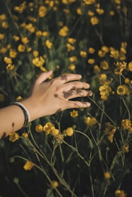 person wearing silver link bracelet watch on yellow flower field during daytime