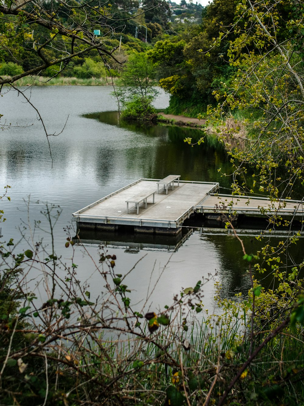 brown wooden dock on lake during daytime