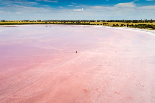 person walking on white sand beach during daytime in Victoria Australia