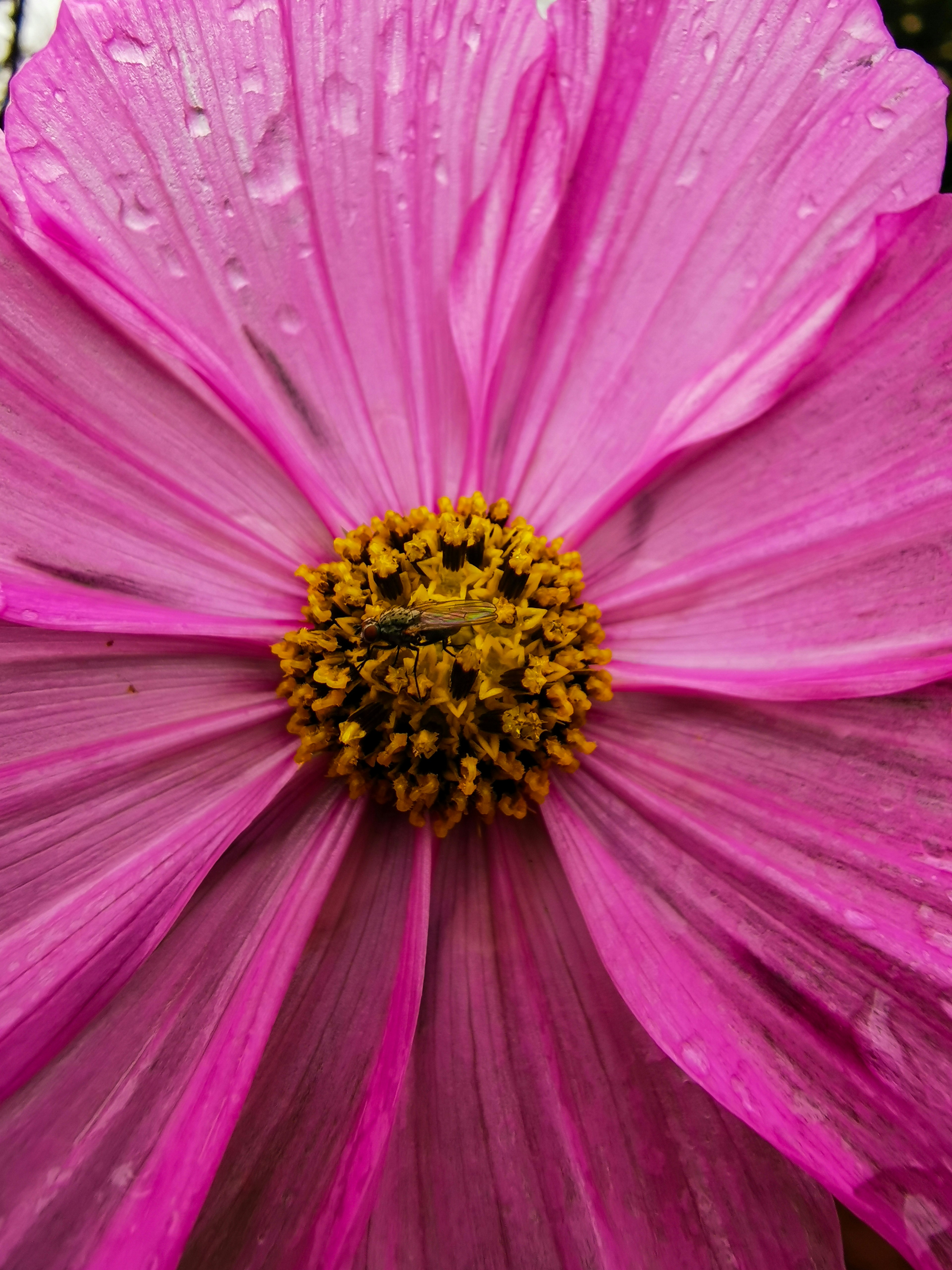 Photo by momo_does_photography