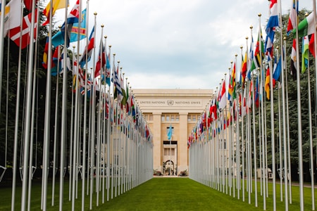 A symmetrical display of international flags lines a pathway leading to a large, official building with the inscription 'United Nations' on its facade. The flags are numerous and vibrant, representing various countries, creating a sense of global unity and diplomacy. The setting is formal and the day appears cloudy, contributing to a solemn atmosphere.