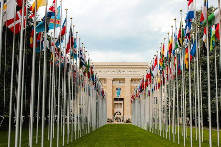 Flags With a Vertical Stripe