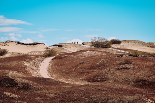 brown sand under blue sky during daytime in Neringa Lithuania