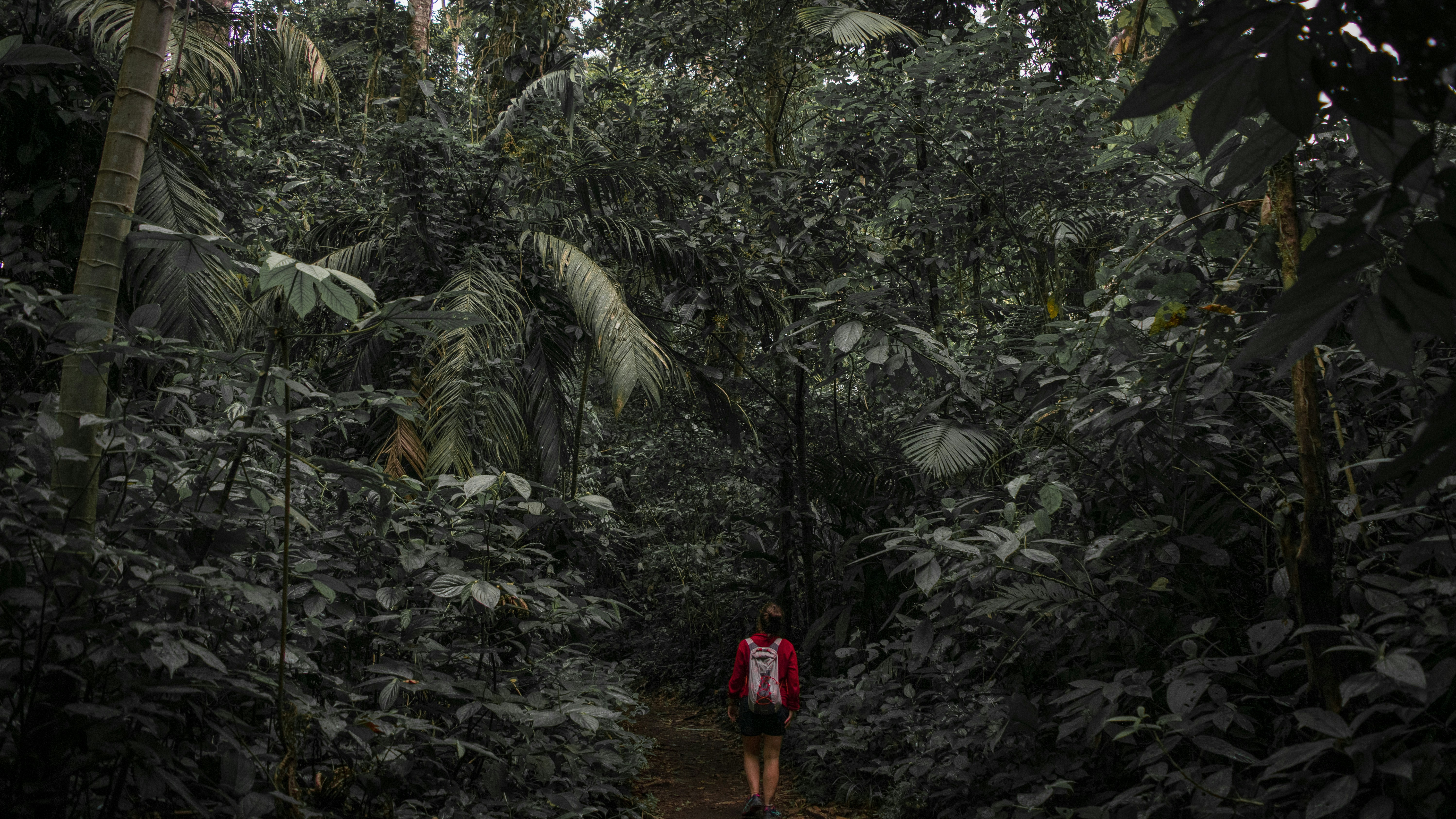 Wandering through the jungle in Costa Rica
