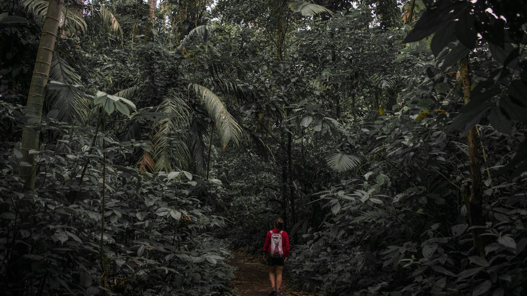 Jungle photo spot Arenal Volcano National Park Provinz Alajuela