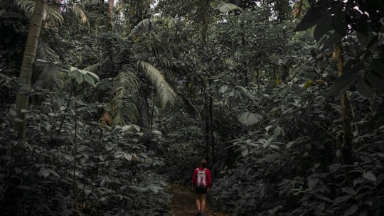 man in red shirt standing on rocky road surrounded by green trees during daytime in Arenal Volcano National Park Costa Rica