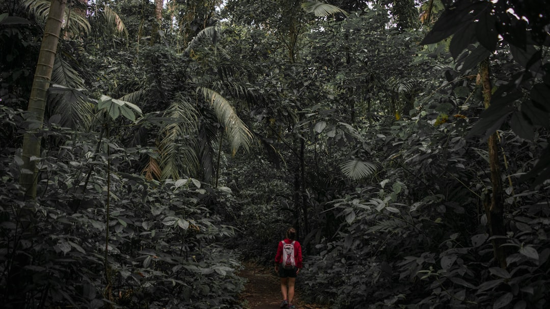 Jungle photo spot Arenal Volcano National Park Alajuela