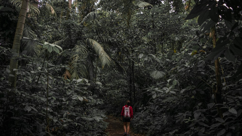 man in red shirt standing on rocky road surrounded by green trees during daytime