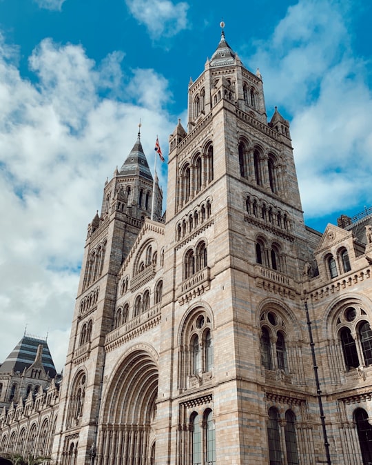 gray concrete building under blue sky during daytime in Natural History Museum United Kingdom