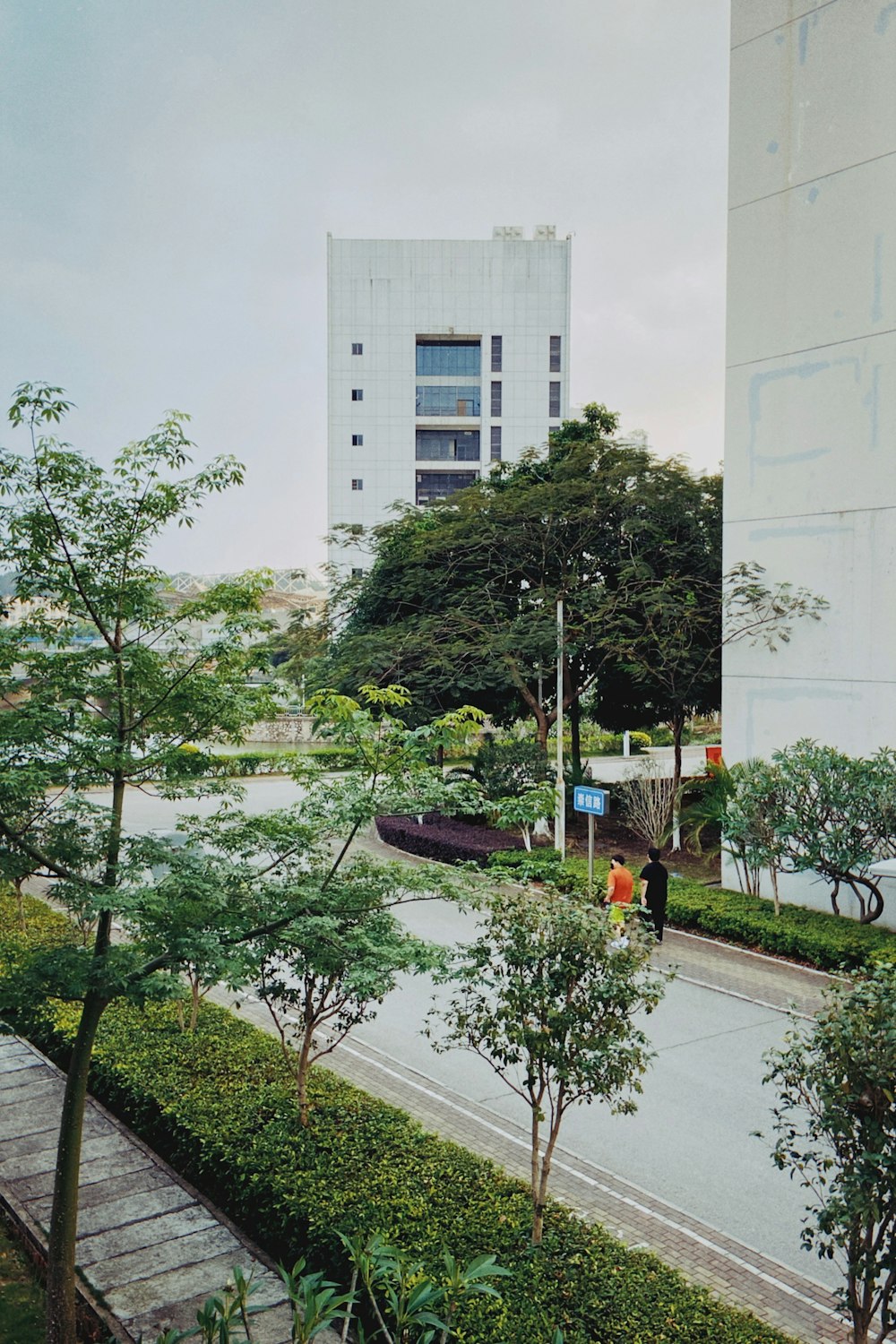 green trees near white concrete building during daytime