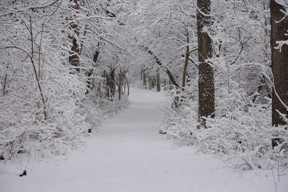 person in red jacket walking on snow covered ground during daytime