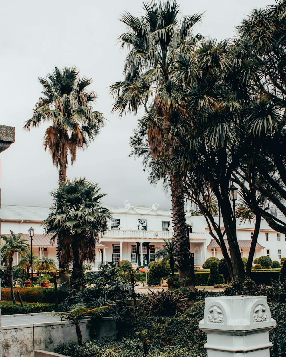 green palm trees near white concrete building during daytime