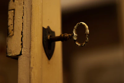 A locksmith carefully rekeying a classic brass lock on a Saint Louis brownstone door.
