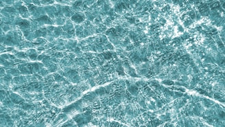 Clear water with intricate patterns of sunlight creating shimmering reflections and textures.