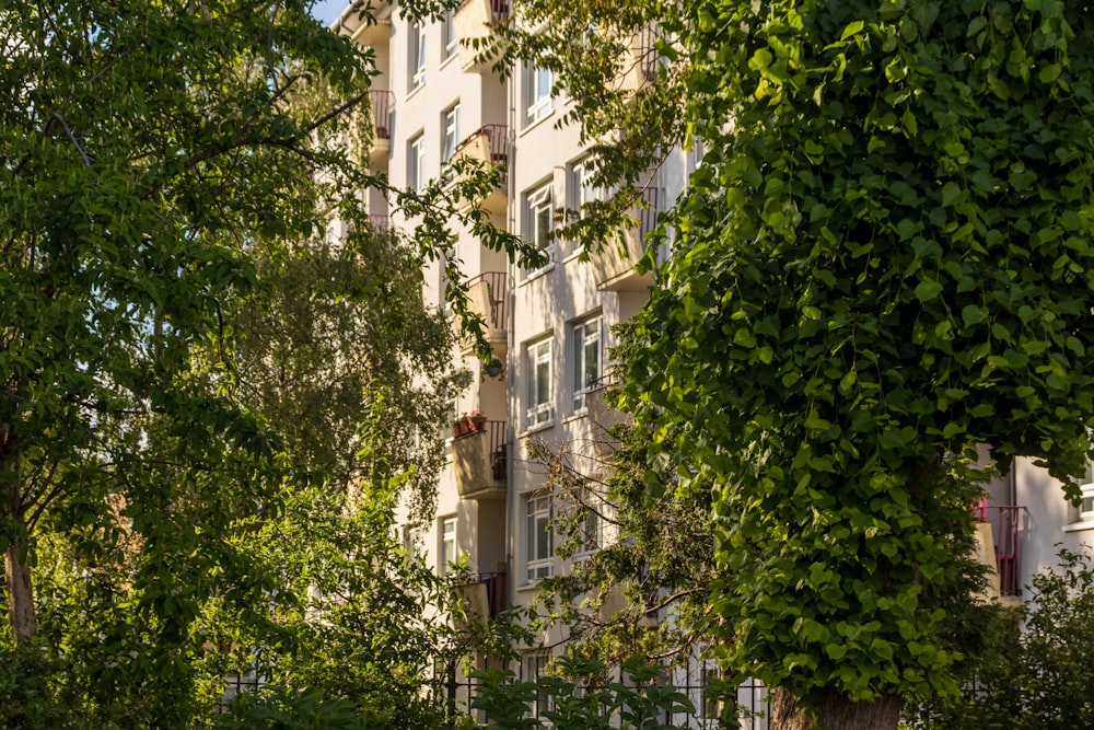 Arbre vert à côté d’un bâtiment en béton blanc pendant la journée
