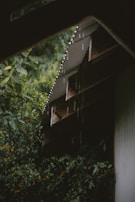 Raindrops fall from an angled corrugated metal roof surrounded by lush green foliage. The area appears quiet and serene, with droplets visibly tracing lines as they descend. The greenery is dense, enveloping the structure and adding to the tranquil atmosphere.