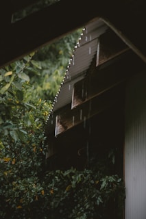 Raindrops fall from an angled corrugated metal roof surrounded by lush green foliage. The area appears quiet and serene, with droplets visibly tracing lines as they descend. The greenery is dense, enveloping the structure and adding to the tranquil atmosphere.