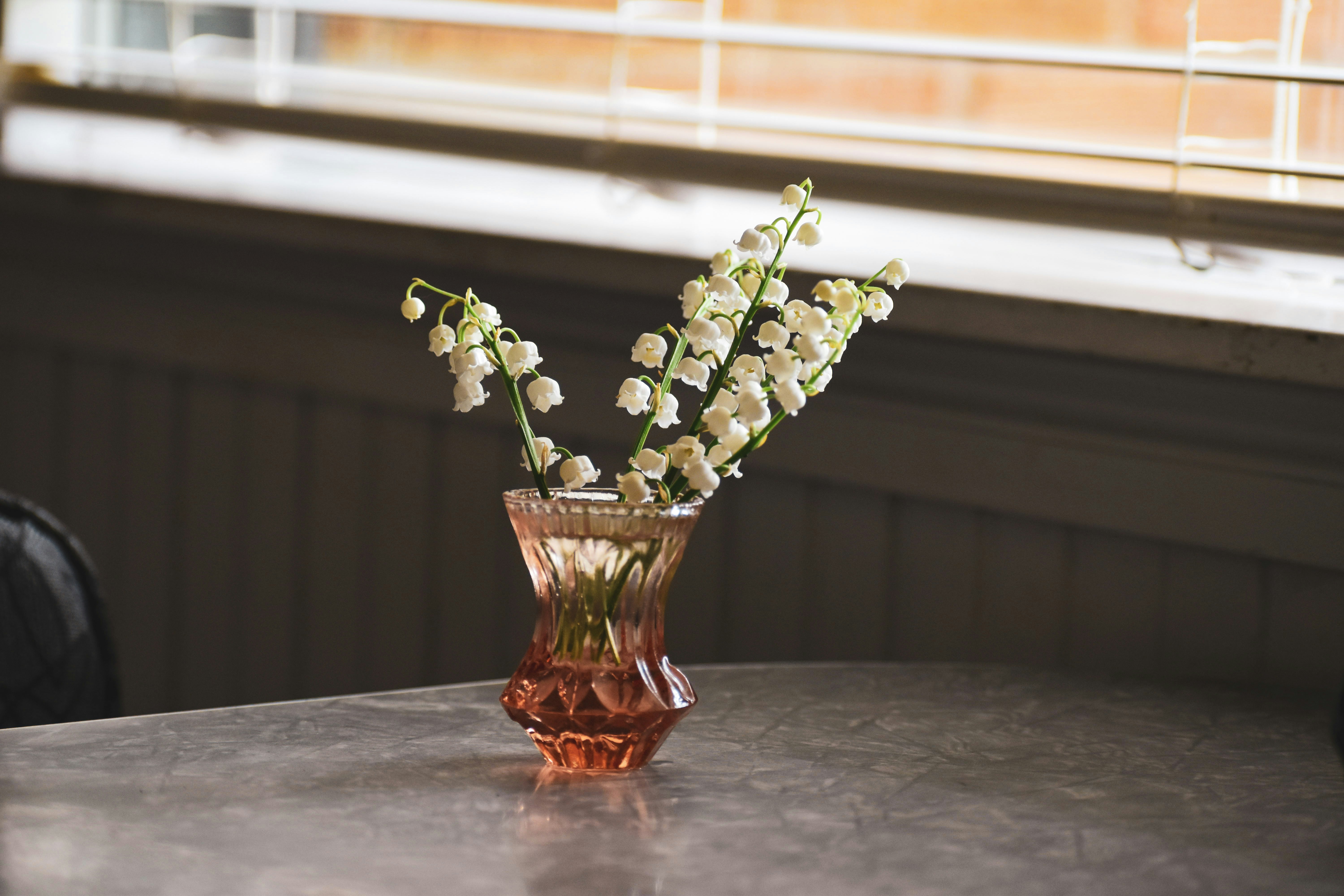 Photo by christopherphigh