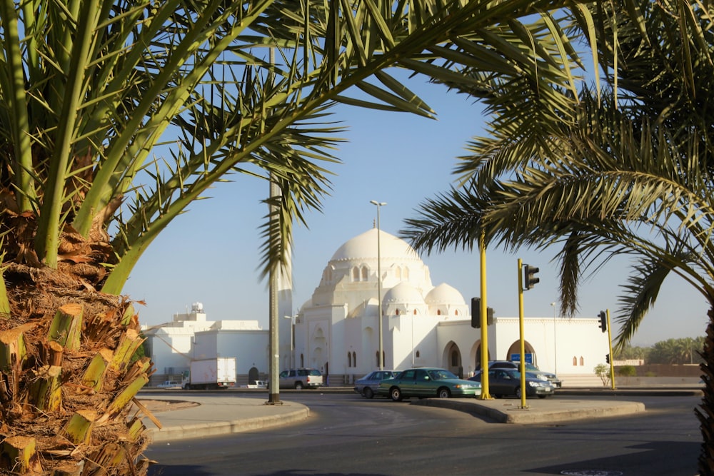 Edificio de cúpula blanca cerca de Palm Tree durante el día
