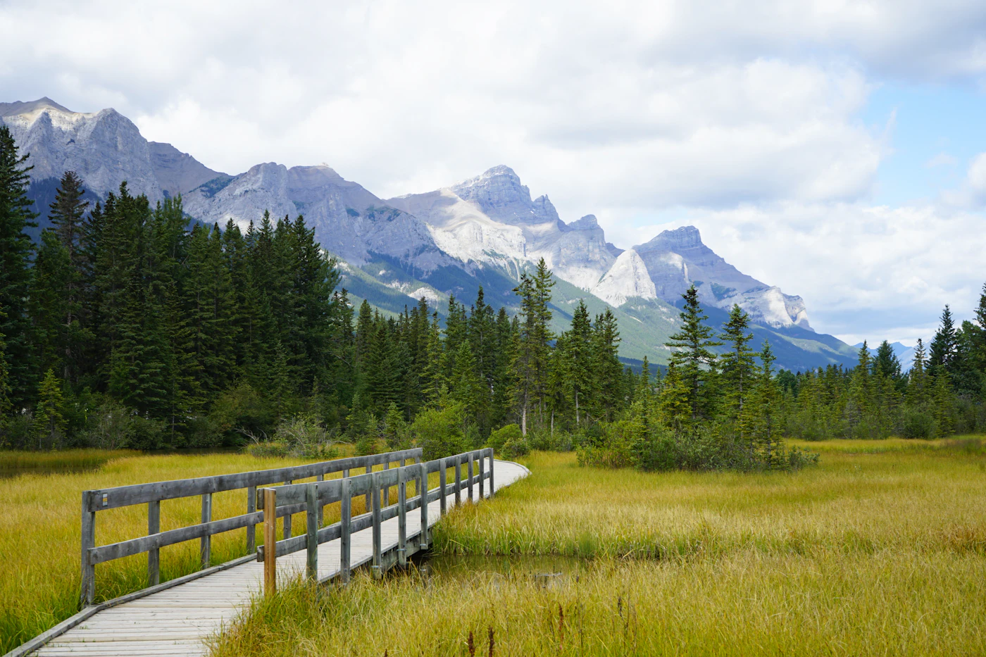 A wooden boardwalk crossing a green wetland meadow toward snow-capped Rocky Mountain peaks near Canmore, Alberta