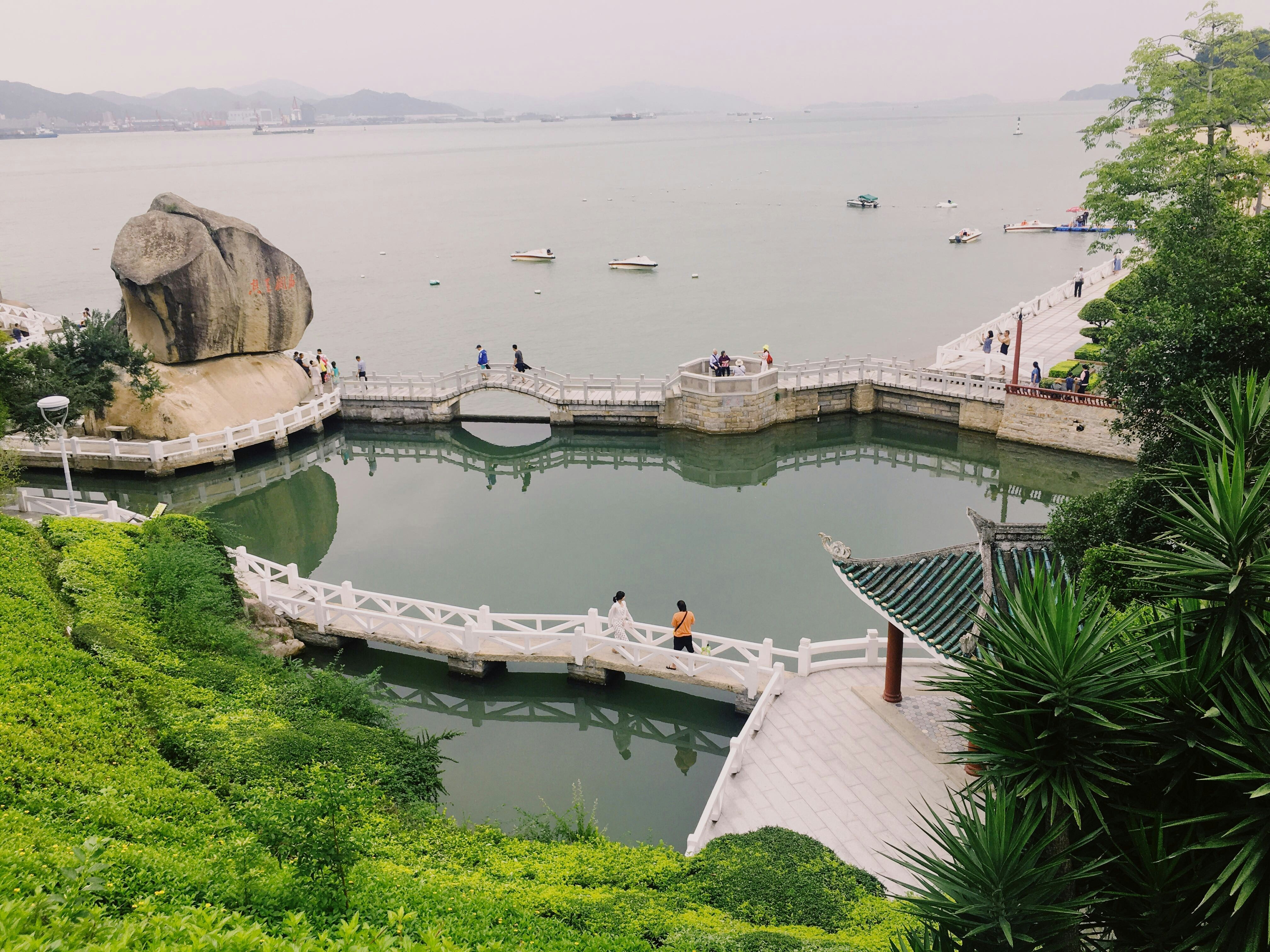 white boat on water near green grass during daytime