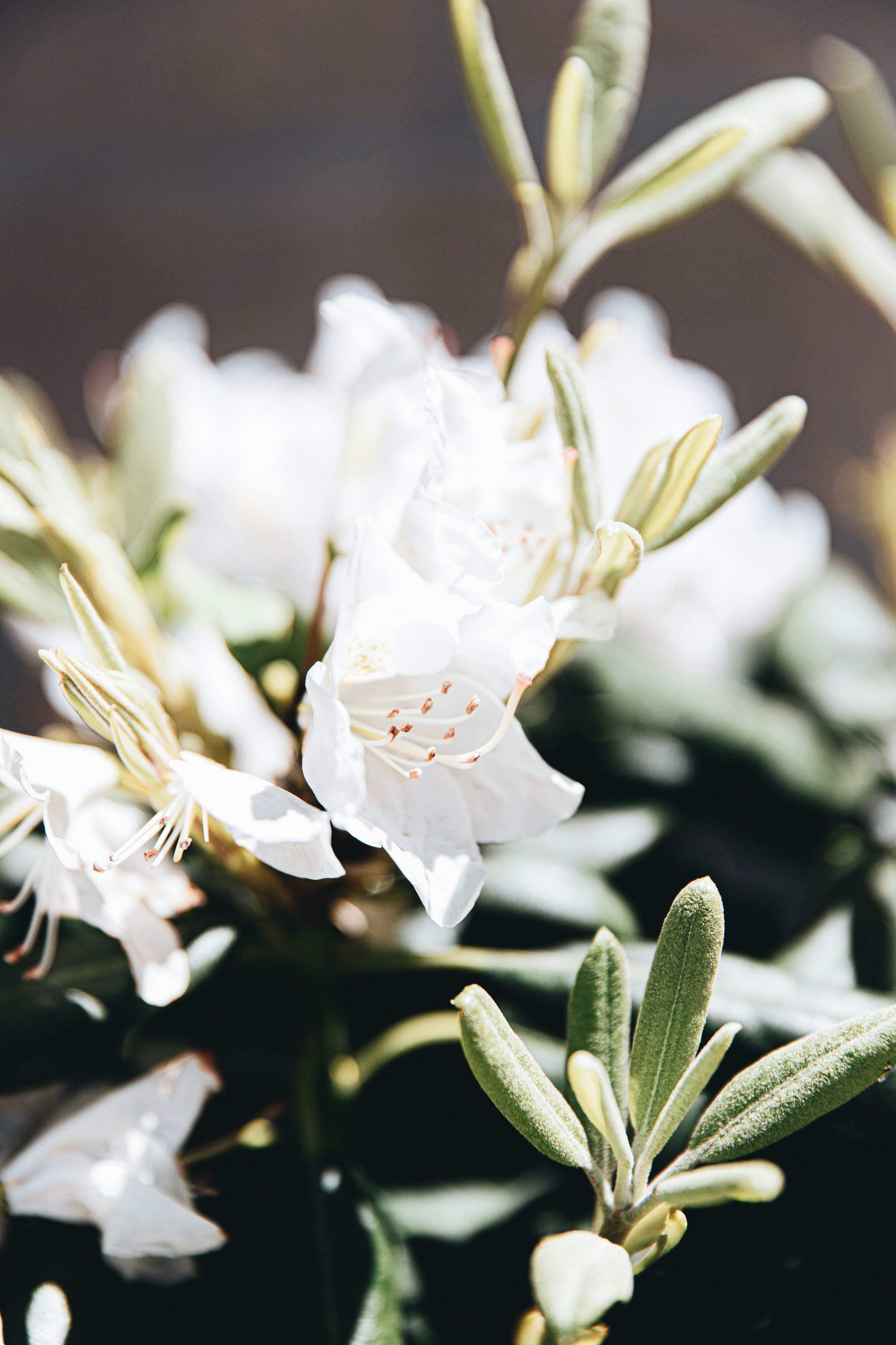 Photo by lgnwvr
