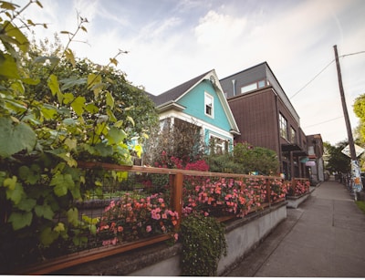 A vibrant neighborhood street featuring a charming, colorful house with a teal facade and ornate white trim. The garden in front is filled with lush greenery and vibrant pink flowers, enclosed by a wooden fence. Next to the house is a modern brick building, adding contrast to the scene. A narrow sidewalk runs alongside, lined with trees and street signs.