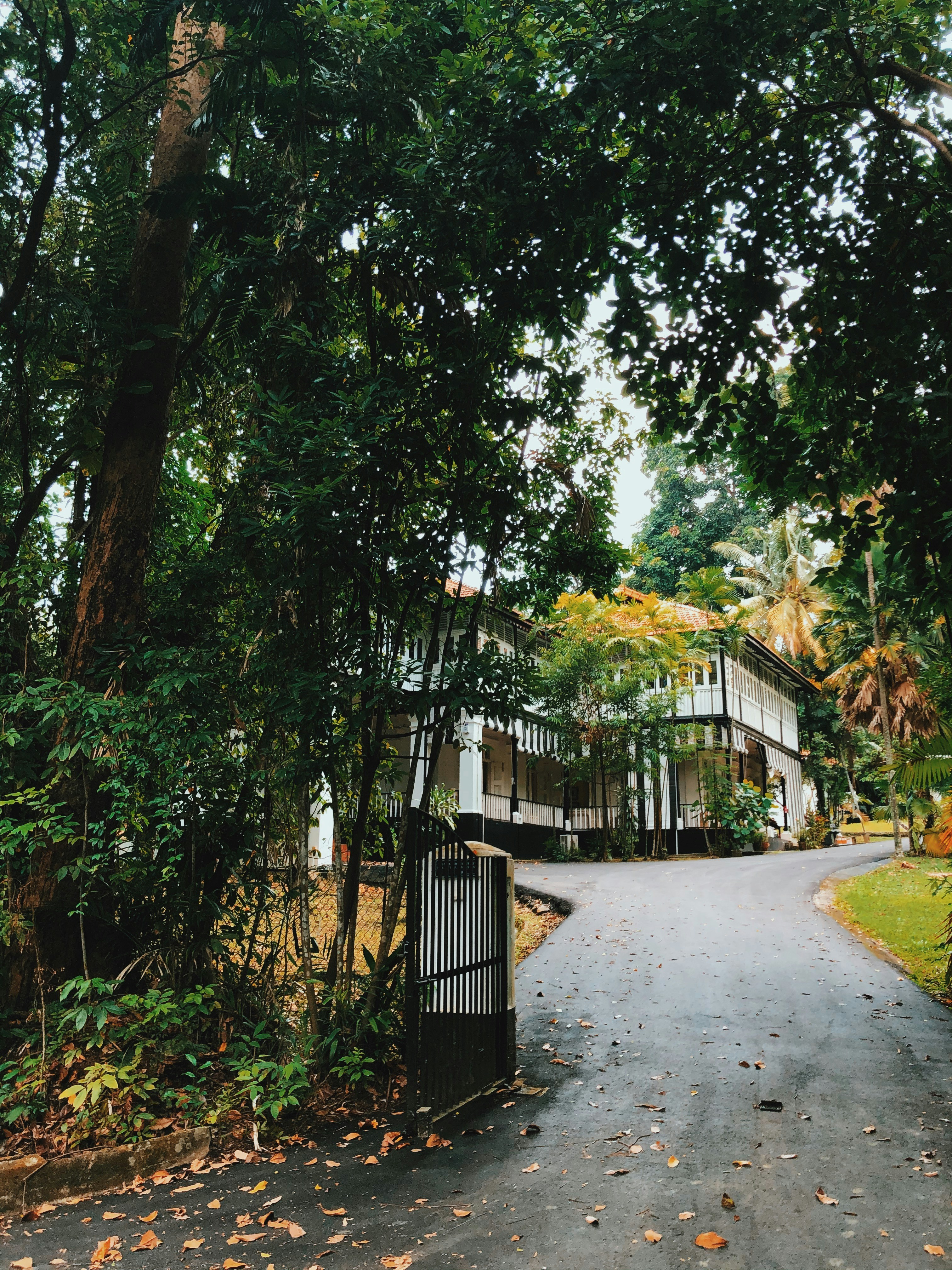 Photo by chuttersnap